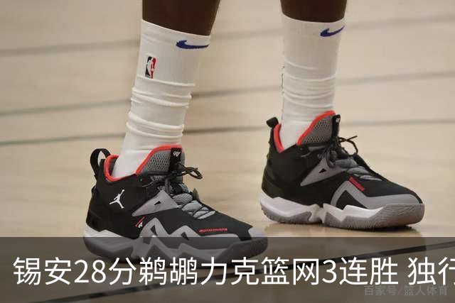 锡安28分鹈鹕力克篮网3连胜 独行侠险胜马刺
